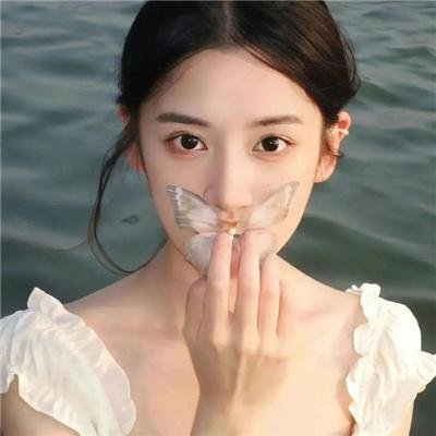 第一夫人的保镖